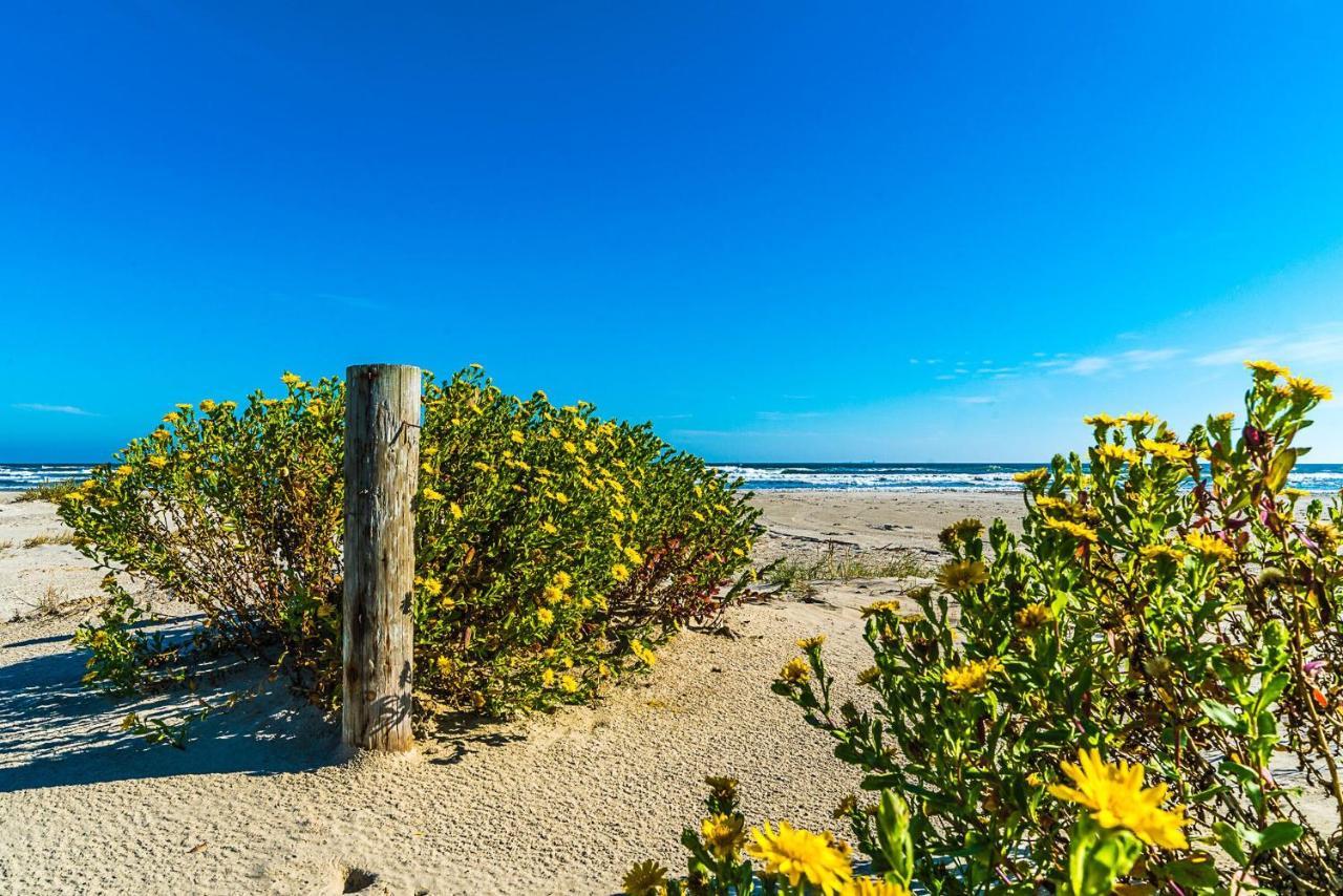 Blue Skies Ahead Quick Walk Into Town And Beach Галвестон Экстерьер фото